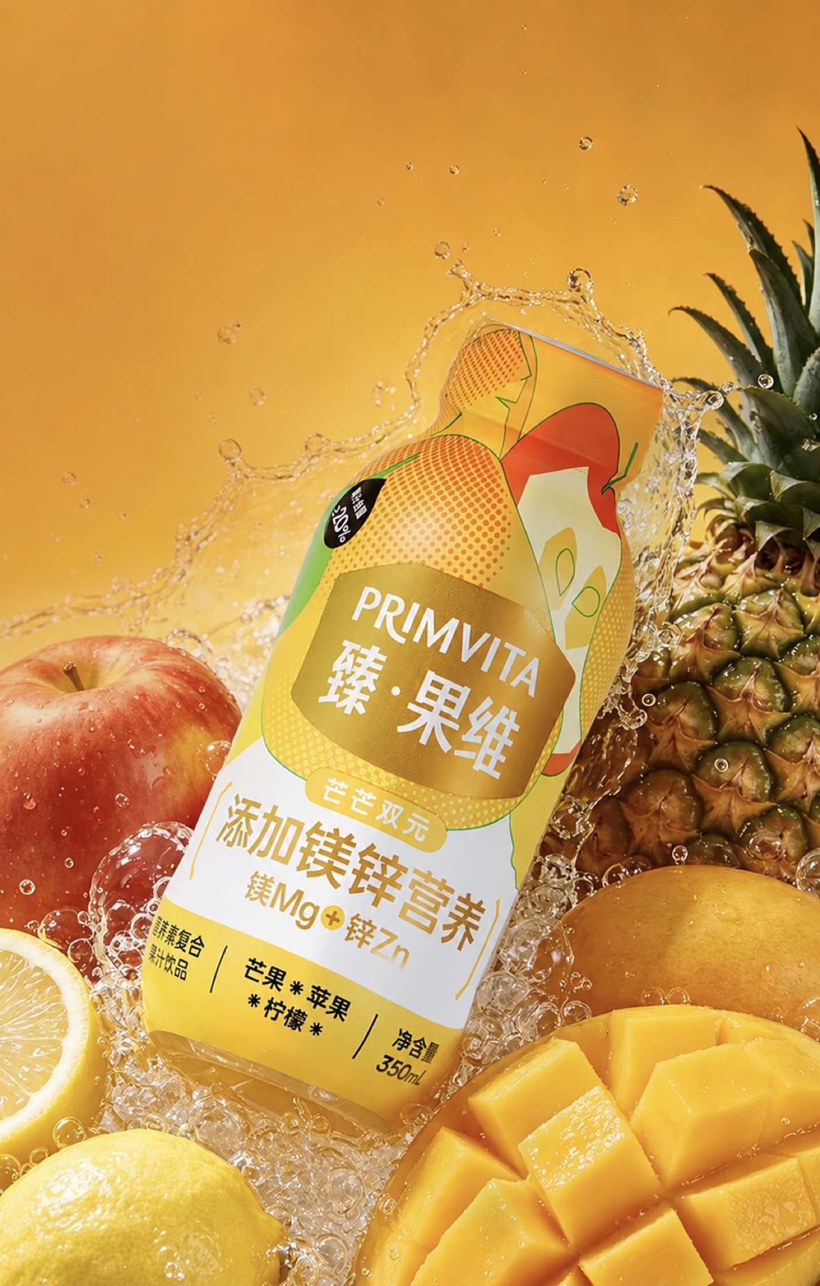 尚然堂包装设计项目预览